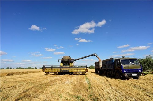Exportations de céréales ukrainiennes: l’accord patine, l’ONU s’«inquiète» - ảnh 1