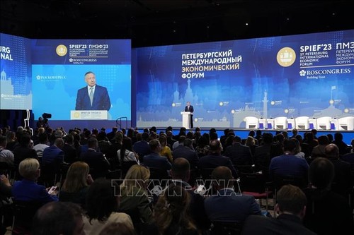 Ouverture du 26e Forum économique international de Saint-Pétersbourg - ảnh 1