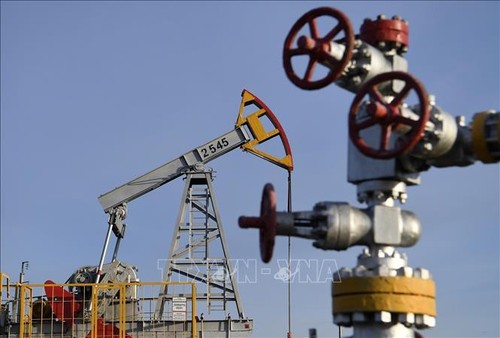 La Russie et l'Arabie saoudite continuent de réduire leur offre pétrolière - ảnh 1