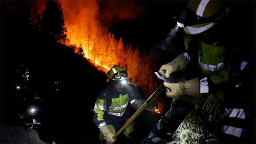 Canada, Hawaï, Tenerife... la planète toujours frappée par de violents incendies - ảnh 1
