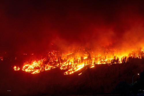 Canada, Hawaï, Tenerife... la planète toujours frappée par de violents incendies - ảnh 2