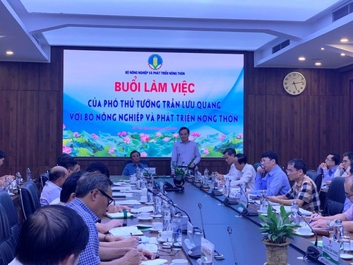 Trân Luu Quang appelle à redoubler d'efforts pour cultiver un million d'hectares de riz bio dans le delta du Mékong - ảnh 1