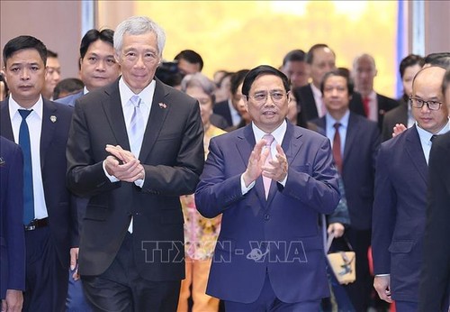 Le Vietnam et Singapour renforcent leur coopération économique - ảnh 1