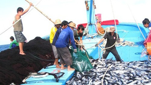 Le Vietnam renforce le contrôle de chalutiers pour éradiquer la pêche INN - ảnh 1