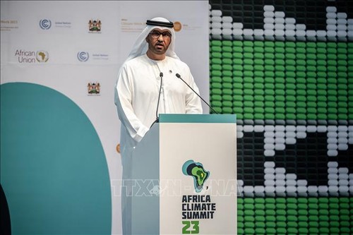 Les Émirats arabes unis annoncent 4,5 milliards de dollars pour les énergies propres en Afrique - ảnh 1