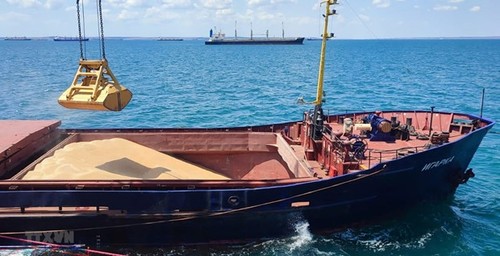 Les Nations Unies s'efforcent de rétablir l'accord céréalier de la mer Noire - ảnh 1