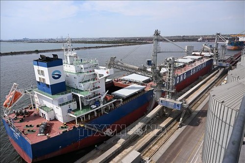 Ukraine: 12 navires prêts à utiliser le nouveau couloir de sécurité en mer Noire - ảnh 1
