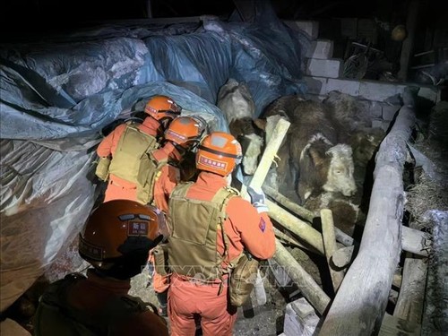 Trois morts en Chine et des blessés au Kazakhstan après un séisme - ảnh 1