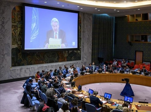 ONU: la situation à Gaza au cœur d’une discussion élargie du Conseil de sécurité - ảnh 1