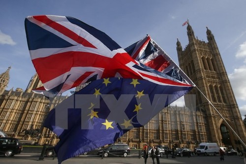 Британцы недовольны подходом правительства к решению «Брексита» - ảnh 1