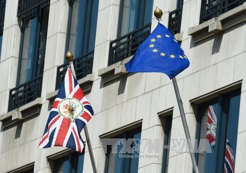 Великобритания и ЕС договорились об условиях Brexit  - ảnh 1
