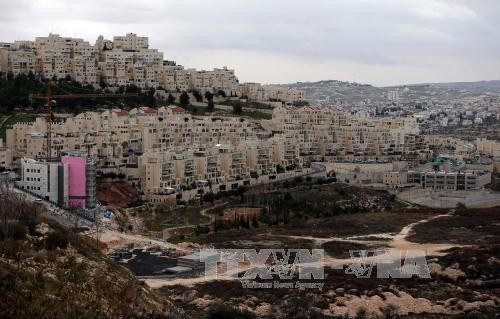Палестина выступает против аннексии израильских поселений на Западном берегу - ảnh 1
