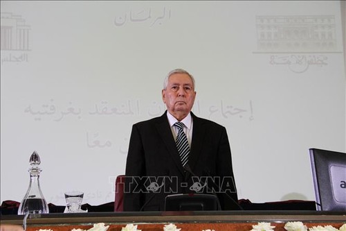 Выборы президента в Алжире назначены на 4 июля - ảnh 1