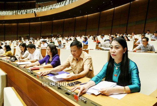 Нацсобрание СРВ приняло постановление о надзорной программе парламента на 2020 год - ảnh 1