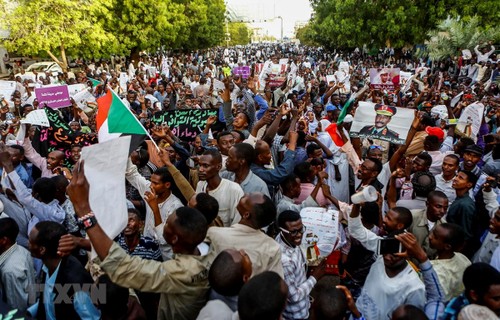 СБ ООН призвал заинтересованные стороны в Судане прекратить насилие - ảnh 1
