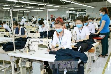 Вьетнам имеет самую высокую долю женщин-работниц в ЮВА - ảnh 1