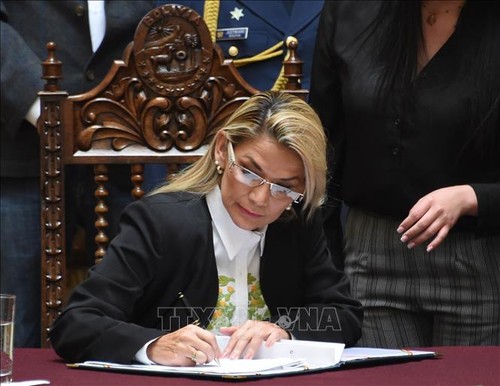 Временный президент Боливии подписала Закон «О всеобщих выборах» - ảnh 1