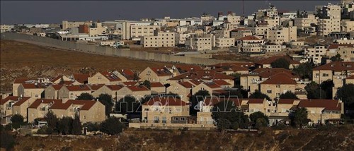 Палестина призывает сформировать международный союз, выступающий против аннексии Западного берега Иордана - ảnh 1