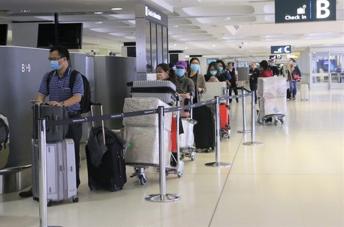 350 вьетнамских граждан были доставлены домой из Австралии - ảnh 1