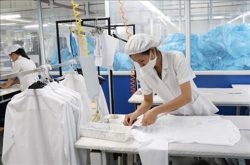 Вьетнам может стать отличным образцом восстановления экономики после выхода из covid-19  - ảnh 1