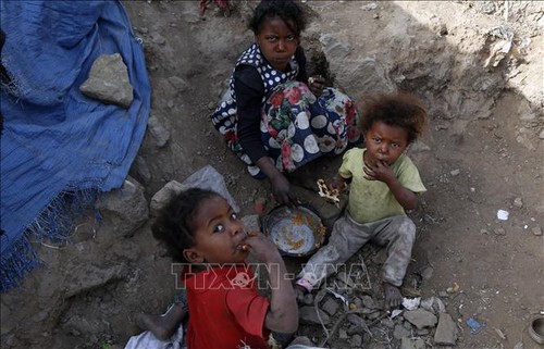 Масштабы проблемы отсутствия продовольственной безопасности в Йемене вновь вызывают большую тревогу - ảnh 1