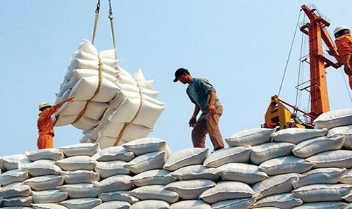 Стоимость экспорта вьетнамского риса за первые четыре месяца года превысила 1 миллиард долларов США - ảnh 1