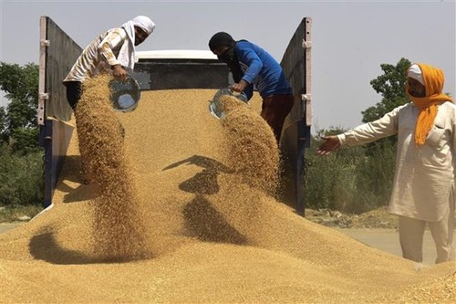 ООН и МВФ призывают к скорейшему разрешению глобального продовольственного кризиса - ảnh 1