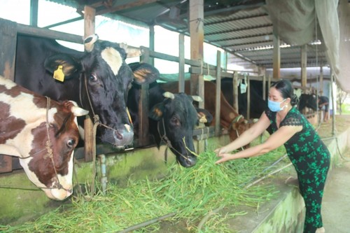 О Ли Тхи Тху Хиен, представительнице малой народности Кхмер, преуспевающей в сельском хозяйстве - ảnh 1