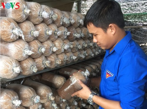 Bui Minh Thang-버섯 재배로 난관을 극복하고 부를 이룬 청년 - ảnh 1