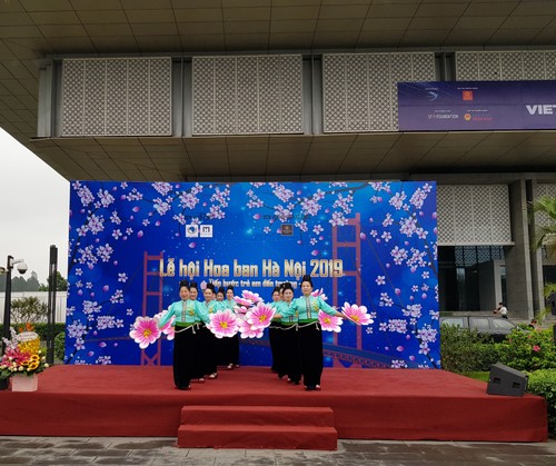 Hà Nội lần đầu tiên tổ chức Lễ hội hoa Ban - ảnh 1