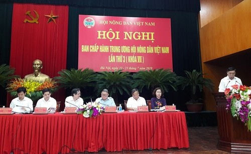 Trung ương Hội Nông dân Việt Nam tăng cường hỗ trợ nông dân sản xuất kinh doanh - ảnh 1