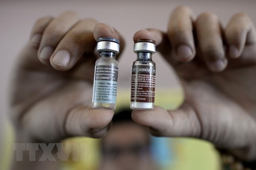 Việt Nam nghiên cứu thành công vắc-xin sốt xuất huyết - ảnh 1
