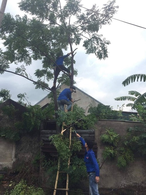 Thanh niên chung tay hỗ trợ đồng bào các tỉnh miền Trung khắc phục hậu quả mưa lũ - ảnh 2