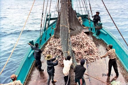 Membangun Ekonomi Kelautan Vietnam