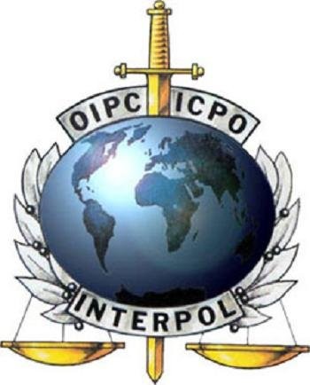 Interpol memperkuat kerjasama global memberantas keiminalitas yang terorganisasi - ảnh 1