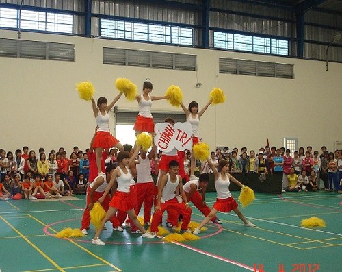 Penjelasan tentang Festival Olahraga Nasional di Vietnam - ảnh 3