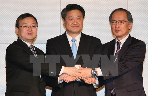 Perundingan FTA Jepang, Tiongkok, Republik Korea belum mencapai kemajuan - ảnh 1
