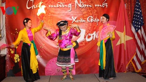 Вьетнамская диаспора за границей встречает Новый год Лошади - ảnh 4