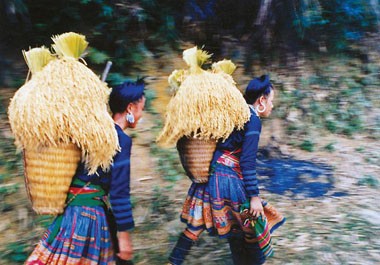 Хмонг - особое нацменьшинство в большой семье народностей Вьетнама - ảnh 3