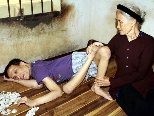 Продолжается требование от США нести ответственность за применение ядохимикатов во Вьетнаме - ảnh 1