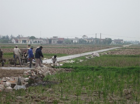 В провинции Намдинь строят новую деревню силами всего общества - ảnh 1