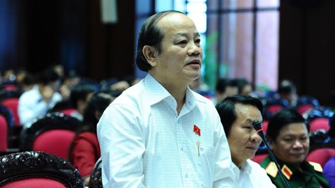 Вьетнамские депутаты обсуждали исправленный Закон об устройстве парламента - ảnh 1