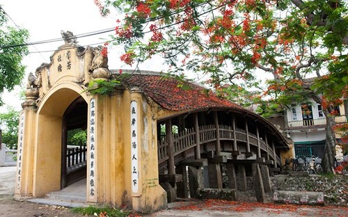 Красота закрытого моста пагоды Лыонг - ảnh 1