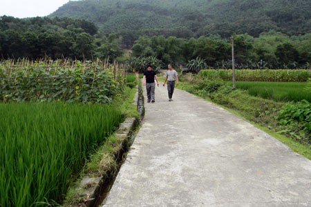 Развитие внутренних ресурсов для строительства новой деревни на бывшей революционной базе Танчао - ảnh 3