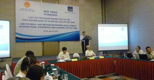 Содействие малым и средним предприятиям - международный опыт и урок для Вьетнама - ảnh 1