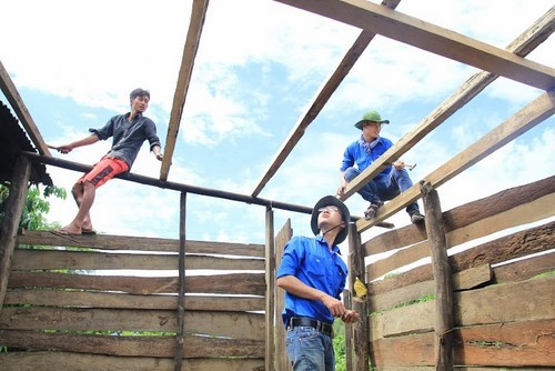 Студенты-волонтёры провинции Фуйен обращают взор на деревню - ảnh 3