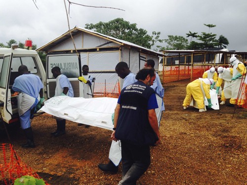 ВОЗ признала эпидемию лихорадки Эбола угрозой международного значения - ảnh 1