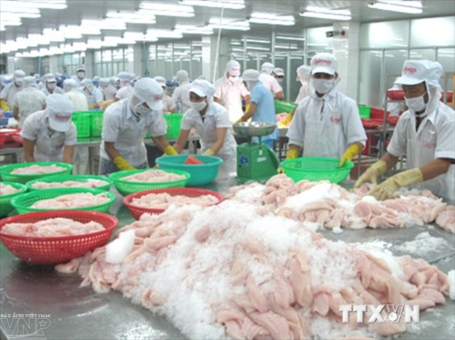 Россия сняла временный запрет на ввоз морепродуктов из Вьетнама - ảnh 1