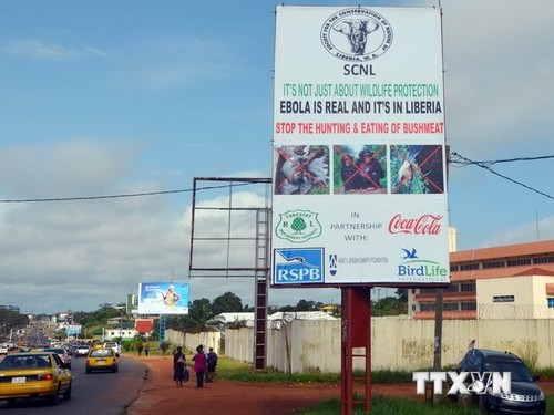 В Конго вспыхнула неизвестная смертельно опасная лихорадка - ảnh 1