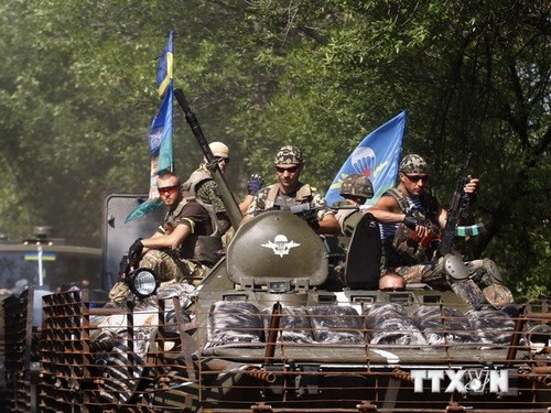 Различные взгляды на урегулирование украинского кризиса - ảnh 1